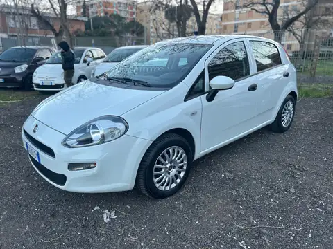 Fiat Punto 5p Street e6